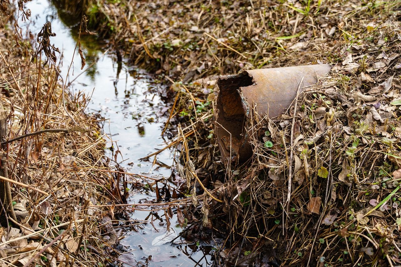 Wykorzystanie wydzielonej komory fermentacyjnej w procesie mieszania - biologiczne metody oczyszczania ścieków